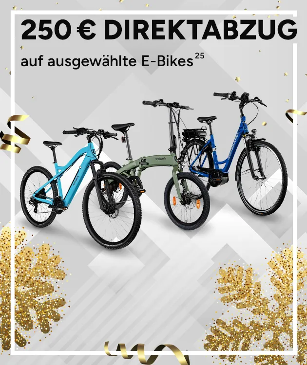 250€ Direktabzug auf ausgewählte E-Bikes mit Hochzahl 25, die auf rechtliche Hinweise verweist. 