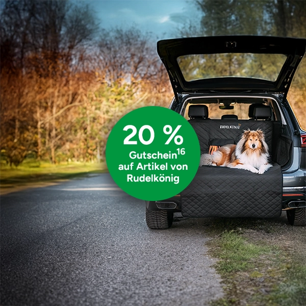 20% Gutschein auf Artikel von Rudelkönig bei Marktkauf Online mit Hochzahl 16 die auf rechtliche Hinweise verweist.