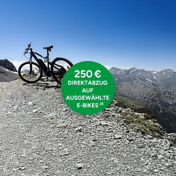 250€ Direktabzug auf ausgewählte E-Bikes bei Marktkauf Online mit Hochzahl 25 die auf rechtliche Hinweise verweist.