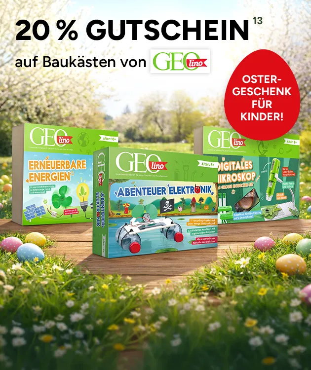 20 % Gutschein mit Hochzahl 13, die auf rechtliche Hinweise verweist, auf Bauk&auml;sten von Geolino. Perfektes Ostergeschenk f&uuml;r Kinder bei Marktkauf Online sichern.