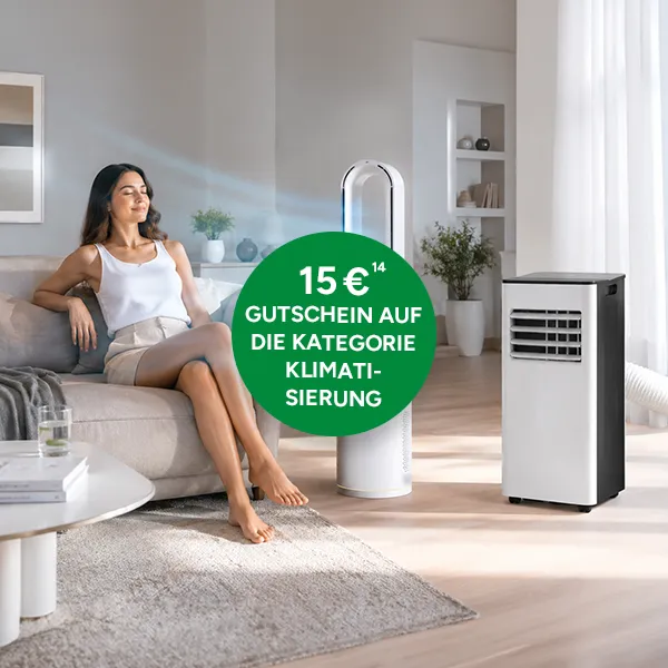 15&euro; Gutschein auf die Kategorie Klimatisierung bei Netto Online mit Hochzahl 14 auf rechtliche Hinweise verweist