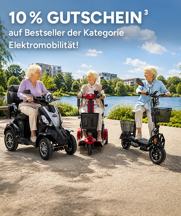 10 Prozent Gutschein auf Bestseller der Kategorie Elektromobilit&auml;t. mit Hochzahl 3 als Hinweis auf Rechtstext bei Netto Online