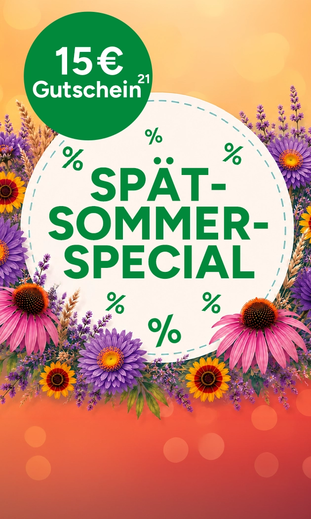Sommer-Special 15&euro; Gutschein mit Hochzahl 21, die auf rechtliche Hinweise verweist. Auf ausgew&auml;hlte Artikel sparen bei Marktkauf Online.