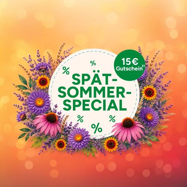 15&euro; Sp&auml;tsommer-Special bei Marktkauf mit Hochzahl 21 die auf rechtliche Hinweise verweist