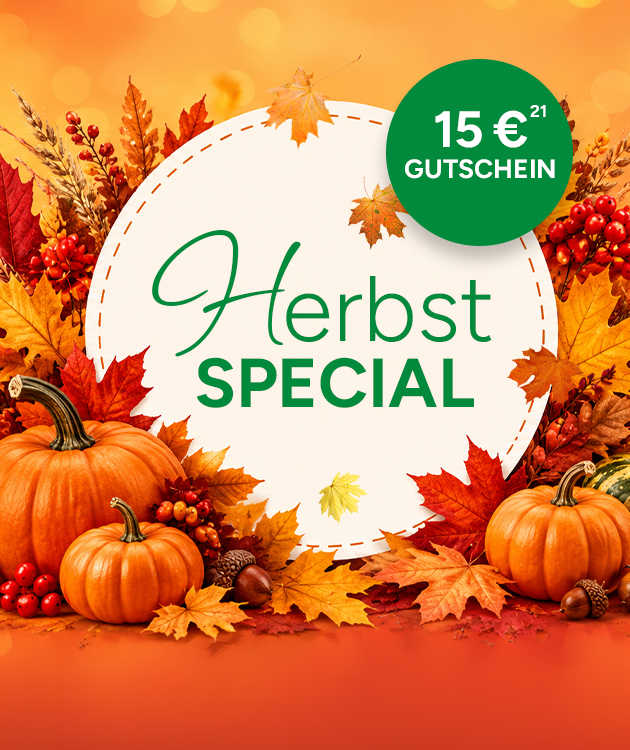 15&euro; Herbst-Gutschein mit Hochzahl 21, die auf rechtliche Hinweise verweist bei Marktkauf.